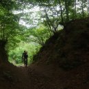 명호관점 이미지