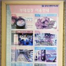 금강스넥 이미지