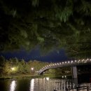 담빛시네콘서트 <지브리 OST 캔들라이트> 이미지