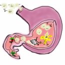 동행한의원 이미지