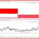 -전일 상한가﻿[정보]종목확인과 하한가[정보]종목확인- 이미지