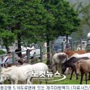 송중목장 노컷뉴스
