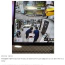 (주)신장메디칼 | 고양이 관절염과 신장결석 _ 중랑구 동물병원 시루의 건강검진 이야기