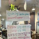 파쳄플라워 이미지