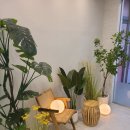 성모베스트 정신건강의학과의원 | [내돈내산 후기] 구래 정신과 : 성모봄정신건강의학과 의원 (추천)