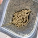 초록도마뱀 | 크레스티드게코 편식 도마뱀 기호성 좋은 슈퍼푸드 추천 정글푸드