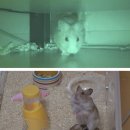 혜윤농장 이미지