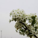 이천농장 이미지