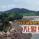 자월도 티스토리