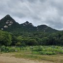 솔밭농장 이미지