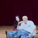 애니라인