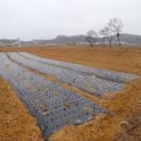 삼웅1리마을회관 이미지