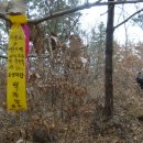 상전재