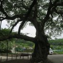 단산 경로당 이미지