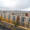 압구정 이미지