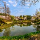 4/1 금요무박)))경주 삼릉 빛내림+첨성대 벗꽃+보문정 이미지