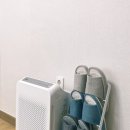 하우하우스