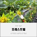 양지농장2 | 포레스트벨, 겨울에 찾은 가족형 실내가볼만한곳 후기