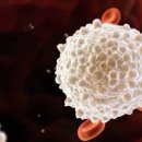 갤럭시 휘트니스 이미지