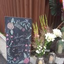 아모르하우스 이미지