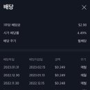 더리얼티 이미지