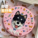 크린토피아 부천성주로점 | 최강! 강아지 수제 케이크 ‘ 트렌독 ’에서 주문해본 후기! (내돈내산)ㅣ부천역 반려견 케이크 강추♥
