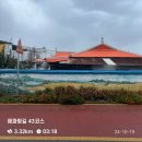 하조대해변(하륜교사거리) | 해파랑길 43코스 🇰🇷 수산항부터 하조대 해변까지! 절경코스