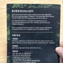 용산기지 옛 미군장교숙소(현 용산공원) 이미지