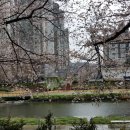 온천천로 이미지