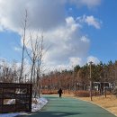 엘림마트 Daum카페