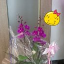 동감치과의원 이미지