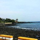 제주 올레길 6코스 이미지