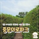 제주 관광지 추천 중문미로파크, 중문 근처 킬링타임 장소 어린이체험 추천, 주차 및 솔직 후기