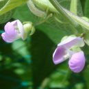 앙꼬NEWS-71호, sweet people 15 에필로그 이미지