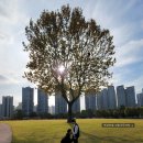 산서작은도서관 | 33개월 아기와 가족이 함께 용산 어린이 정원 관람후기