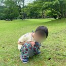 붉은오름자연휴양림 유아숲체험원 이미지