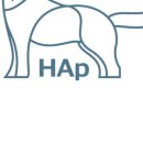 덴탈메인 이미지