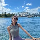 (주)비브릿지 | 시드니 러닝 코스 추천 오페라하우스 하버브릿지