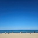 시크릿강릉 이미지