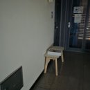 당구치자 | 2025.11