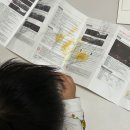색연필로 그리는 일러스트 | [🖍️이도의 첫 색연필 후기] 핑거가든 크레용으로 시작한 색감 놀이