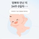 [임신일기] 2026년 임신 27주~36주 고위험 산모의 일상생활 기록