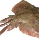 터줏골송정점 이미지