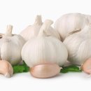 스튜디오 포미 이미지