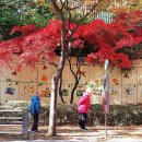 목동동로1길 이미지