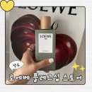 성수 로에베 퍼퓸LOEWE 플래그십 스토어 향수 구매, 로에베 카페 이용 후기