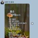 [12일] 말잇기방 ㅡ휴일날 이미지