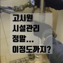 골드리빙텔