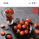 스테비아 방토 500g 4200원🍅🍅🍅 이미지