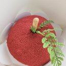 더마레 104 이미지